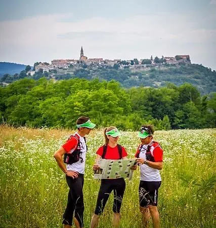 Istrian Truffles Holiday Vela Sterna Bed and breakfast