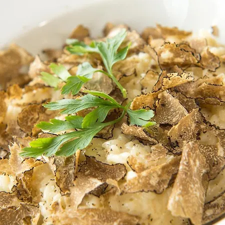 Bed and breakfast Istrian Truffles Holiday Vela Sterna