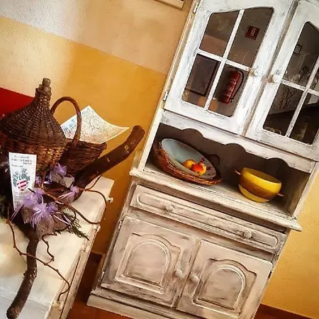 Istrian Truffles Holiday Vela Sterna 3*